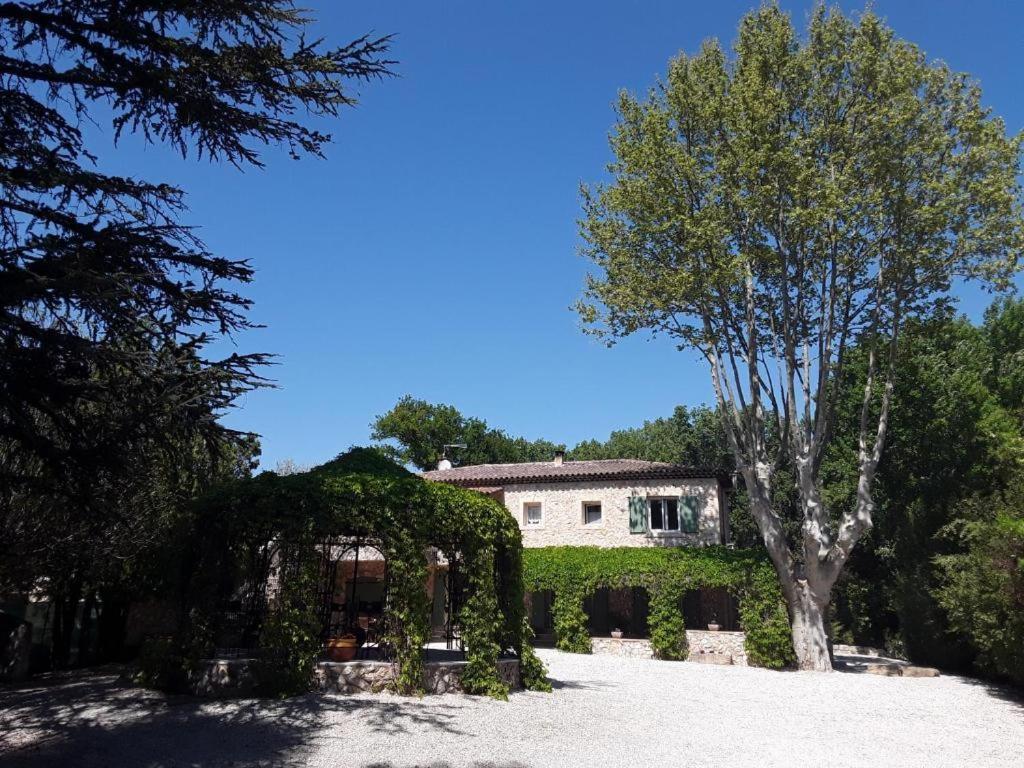 Bed and Breakfast Mas De L'Ile Avignon Exterior foto