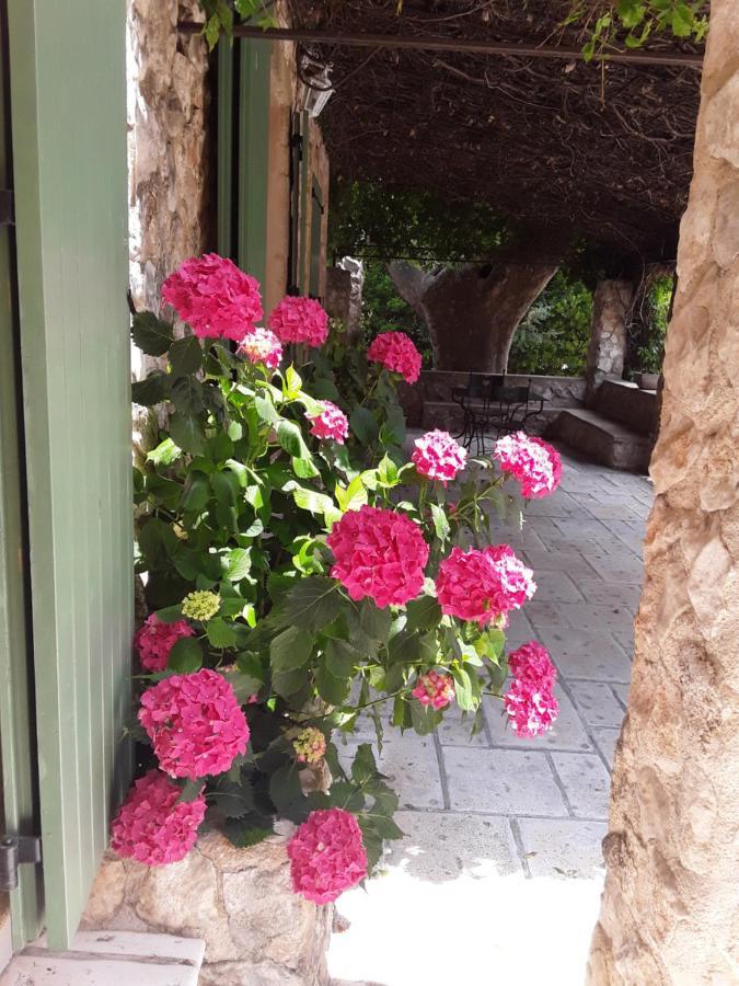 Bed and Breakfast Mas De L'Ile Avignon Exterior foto